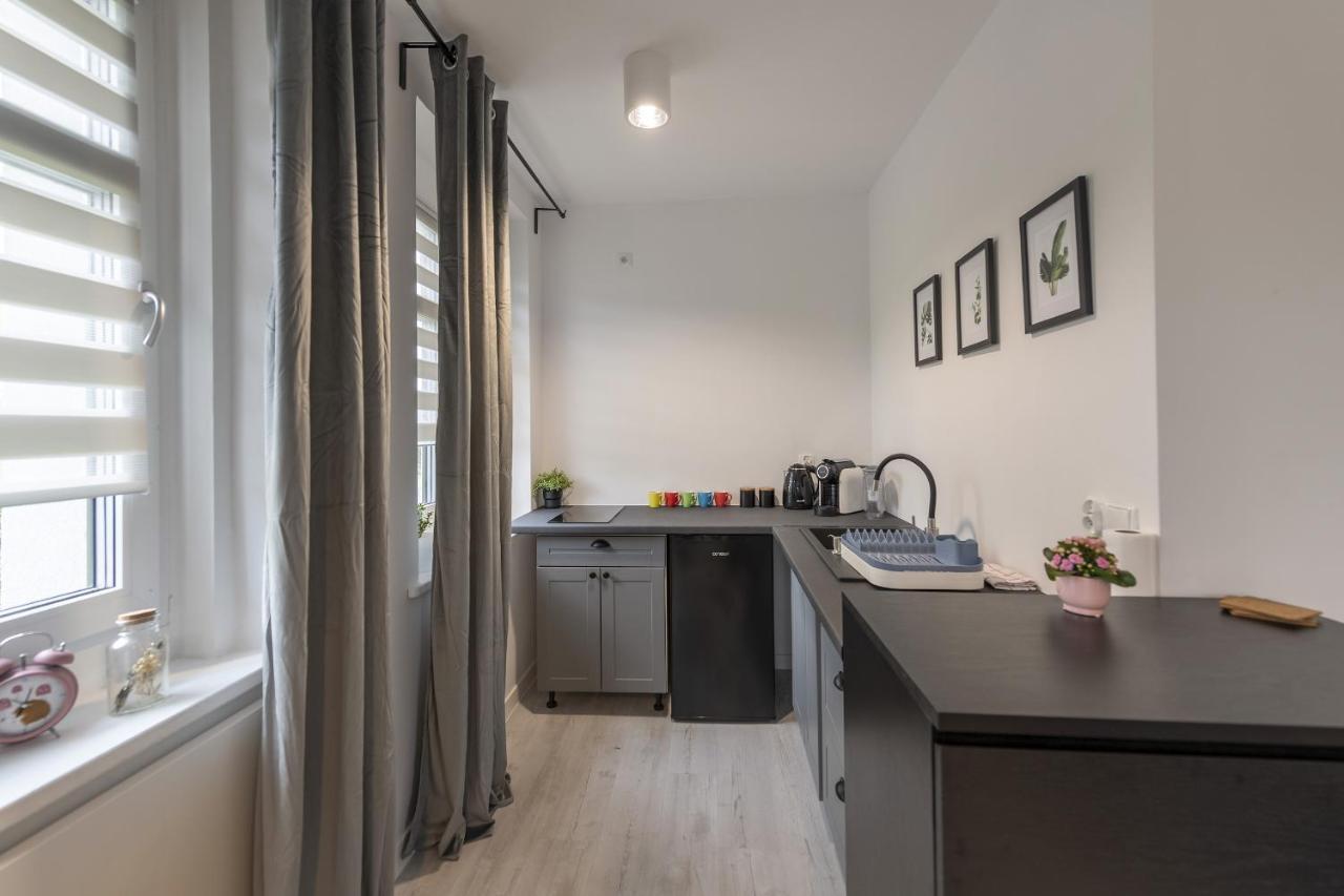 Apartamenty Sniezna 12 Ladek- Zdroj ภายนอก รูปภาพ